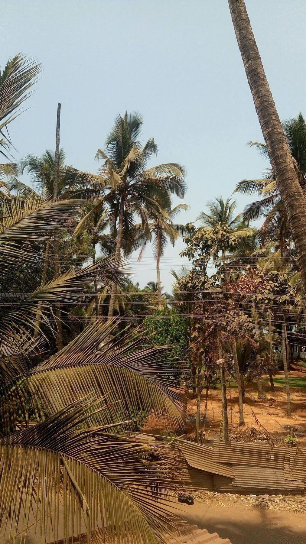 Hotel Shiva Ashvem Ashvem Beach Eksteriør billede